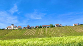 Komforthaus Gartenfreude